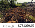 Deforestation and shredding of vegetation 87386985