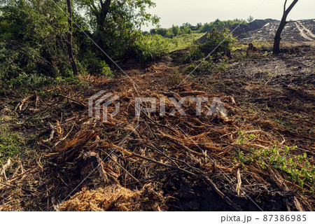 Deforestation and shredding of vegetation 87386985