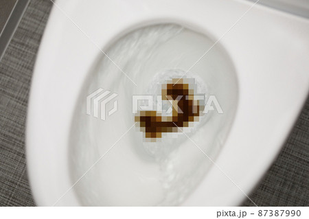 使用したトイレのイメージ (モザイク処理) 使用したトイレのイメージ (モザイク処理) 87387990