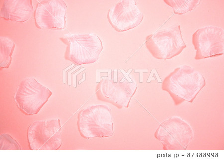 桜の花びらの背景 桜の花びらの背景 87388998