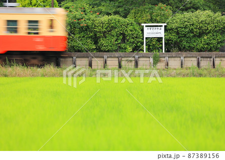 小湊鉄道　上総川間駅に入線するキハ200気動車　ローカル線の風景 87389156
