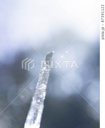 綺麗な氷 薄氷の幻想的な写真 綺麗な氷 薄氷の幻想的な写真 87391122