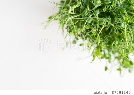 Vegetable pea sprouts, microgreens on white background, vegan health superfood. Top view, close-up, place for an inscription. 87391149
