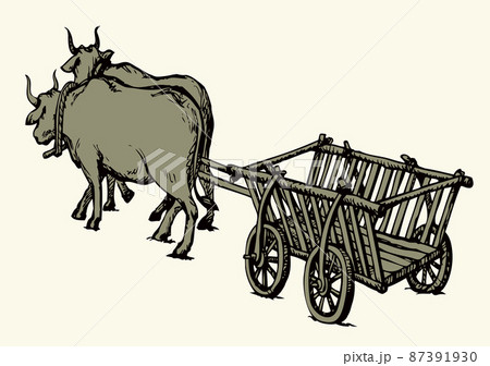 Indian Man Rides A Cart With Bulls In Harness. Vector. Royalty Free SVG,  Cliparts, Vectors, and Stock Illustration. Image 174964213.
