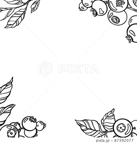 Berries Greeting card. Outline plant drawing. Invitation, menu, frame Berries Greeting card. Outline plant drawing. Invitation, menu, frame 87392077