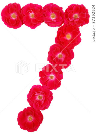 Number seven laid out by roses Number seven laid out by roses 87392924