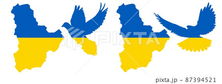 Outline map of the city of Kiev, Ukraine against a background of national colors. 87394521