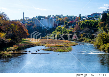 杜の都仙台 晩秋 広瀬川 御霊屋橋の下流 右岸の向山に通じる鹿落坂 杜の都仙台 晩秋 広瀬川 御霊屋橋の下流 右岸の向山に通じる鹿落坂 87394814