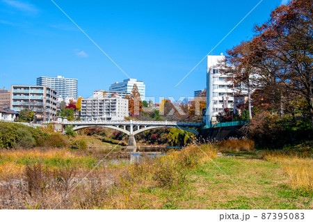 杜の都仙台　晩秋　広瀬川　御霊屋橋下流　米が袋遊歩道からの眺望 87395083