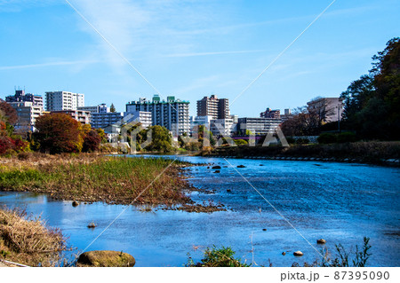杜の都仙台　晩秋　広瀬川　矢込の瀬から見渡す土樋のビル群と愛宕大橋 87395090