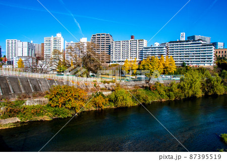 杜の都仙台　晩秋　広瀬川　評定河原橋から見渡す片平丁のビル群 87395519