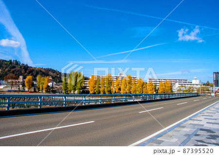 杜の都仙台　晩秋　広瀬川　評定河原橋、評定河原運動場の銀杏 87395520