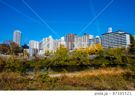 杜の都仙台　晩秋　広瀬川　評定河原橋下流　河原から見渡す左岸のビル街 87395521