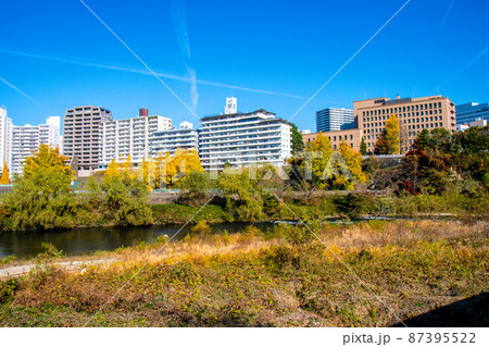 杜の都仙台 晩秋 広瀬川 評定河原橋下流 河原から見渡す左岸のビル街 杜の都仙台 晩秋 広瀬川 評定河原橋下流 河原から見渡す左岸のビル街 87395522