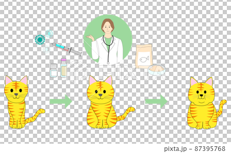 A set of lean tabby cats, ordinary cats, fat cats and female vets. 87395768