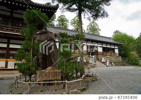 和歌山県 伊太祁曽神社 和歌山県 伊太祁曽神社 87395806