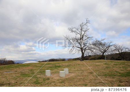 冬の公園 冬の公園 87396476