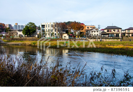 杜の都仙台　晩秋　広瀬川　愛宕緑地　松源寺淵 87396591