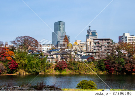 杜の都仙台　晩秋　広瀬川　愛宕緑地対岸の紅葉と街並み 87396596