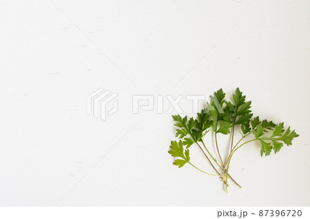 よもぎ右下 87396720