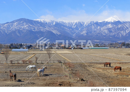 ホースランド安曇野の馬と北アルプス 87397094