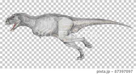 瑪君龍,白堊紀晚期馬達加斯加食物鏈頂端的食肉恐龍 瑪君龍,白堊紀晚期馬達加斯加食物鏈頂端的食肉恐龍 87397097