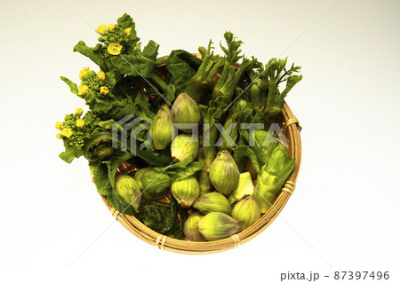 春の山菜 87397496