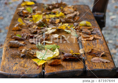 A bench in the autumn park covered with fallen leaves, close up. 87397644