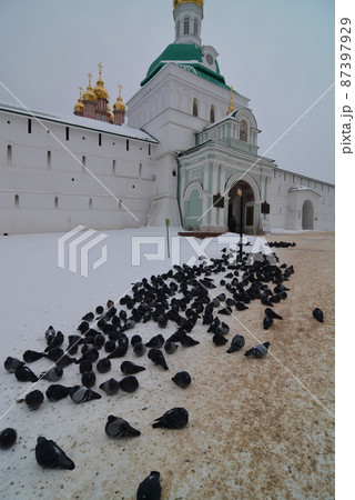 ロシアセルギェフポサート 87397929