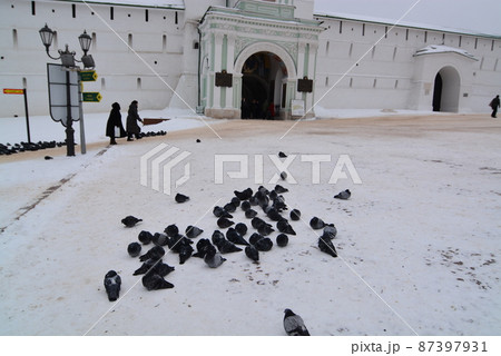 ロシアセルギェフポサート 87397931