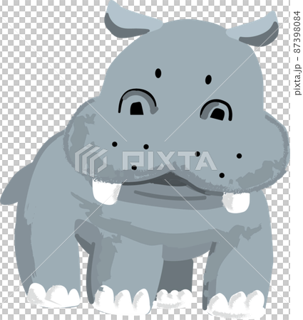 Illustration of a cute hippo standing 87398084
