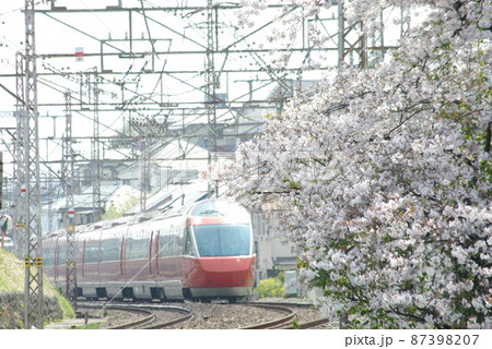 小田急ロマンスカー GSE70000形 はこね号と桜 1 小田急ロマンスカー GSE70000形 はこね号と桜 1 87398207