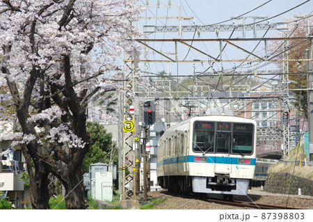 小田急 通勤電車 8000形 快速急行新宿行と桜 小田急 通勤電車 8000形 快速急行新宿行と桜 87398803