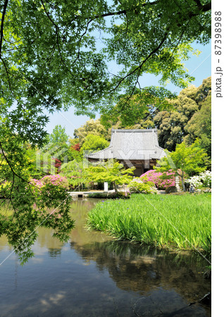 長岳寺(放生池と本堂)    【奈良県天理市柳本町】 87398988