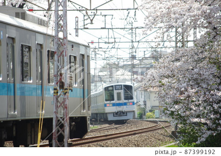 小田急 通勤電車 1000形 快速急行と桜2 小田急 通勤電車 1000形 快速急行と桜2 87399192