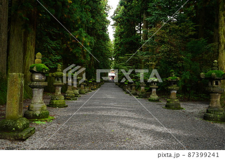 日本 山梨県 北口 本宮 富士浅間神社 参道 87399241