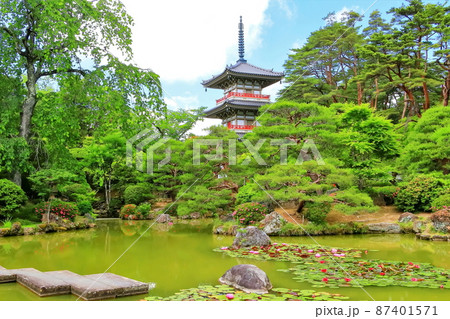 新緑の輪王寺日本庭園 87401571