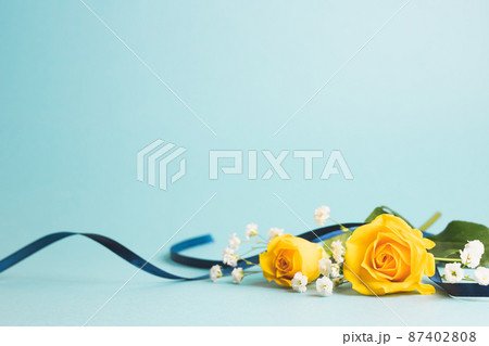 父の日の黄色いバラ　花の背景素材 87402808