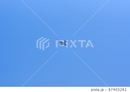 青空を背景に撮影した戦闘機 青空を背景に撮影した戦闘機 87403261