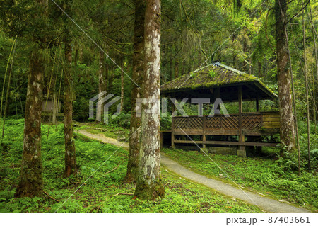 パビリオン サマーハウス 茶室 87403661