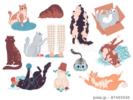 Set of cute and funny cats Vector illustration 87405030