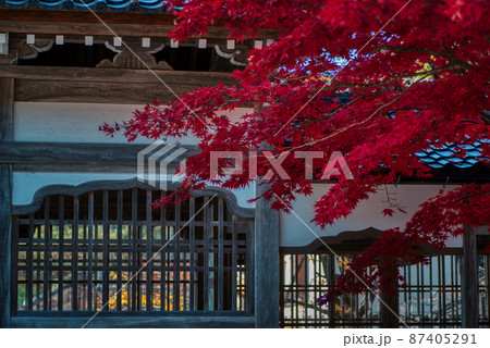 秋 總持寺祖院 紅葉 秋 總持寺祖院 紅葉 87405291