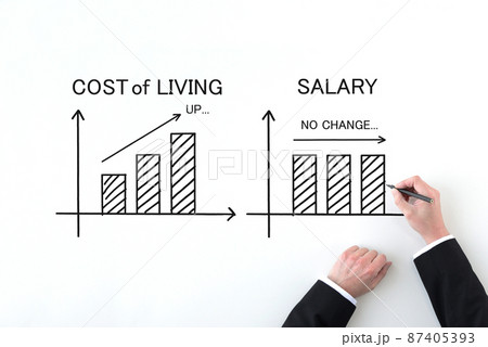 物価・生活費のグラフと給料の推移のグラフの比較 87405393