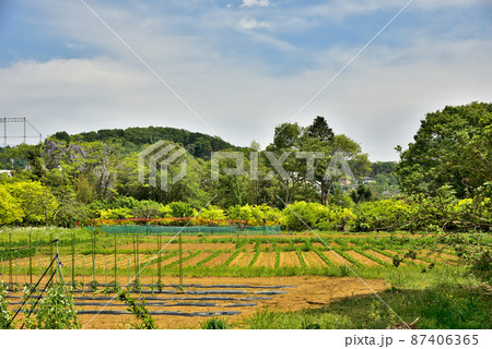 新緑に囲まれて 87406365