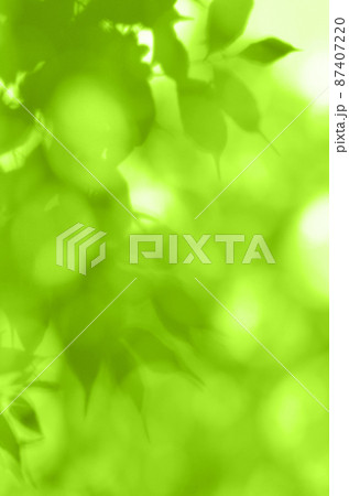 早春のやさしい風に揺れる、新緑のシルエット 87407220