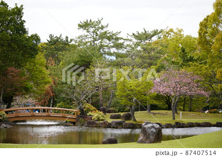 奈良公園　春日野園地の池 87407514