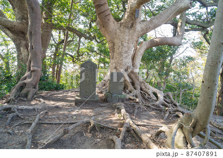 観音塚（三浦半島の仙元山ハイキングコース） 87407891