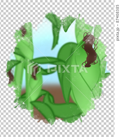 藍天下的麥田 87408385