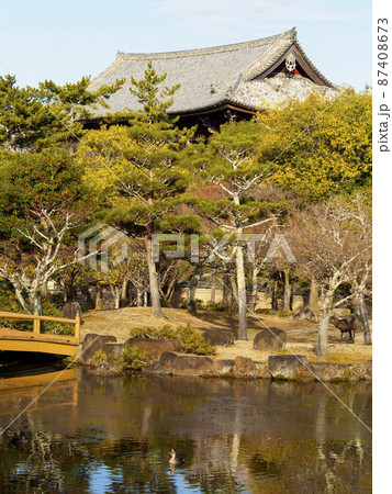 氷の張る奈良公園三社池の風景 氷の張る奈良公園三社池の風景 87408673