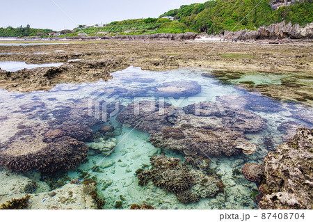 大度海岸 大度海岸 87408704